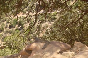 Hiking in the Grand Canyon